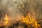 Incêndios florestais no Brasil queimam uma cidade do Rio a cada 5 dias