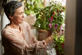 3 flores aromáticas para cultivar e manter os ratos longe de casa