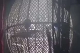Pilotos sofrem acidente em apresentação no globo da morte de circo