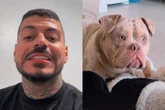 Influencer que teve dedo comido por cão reage a pedido de eutanásia