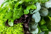 Folha verde comum prolonga sensação de saciedade e beneficia intestino