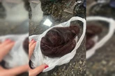 Homem ataca ex com tesoura e corta cabelo dela: “Ficar bonita pra ele”