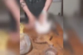 Homem é preso por matar cachorros e gatos e consumir a carne