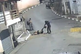 Vídeo: criminosa derruba idosa ao roubar sua bolsa no interior de SP