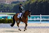 Vídeo: abelha assusta cavalo e Brasil perde medalha nas Paralimpíadas