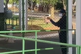 Após morte de animais, funcionários passam a usar máscaras no Zoo