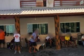 Clínica de reabilitação é fechada após maus-tratos e cárcere privado
