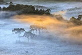 Cidade registra temperatura negativa pelo 2º dia seguido. Saiba qual