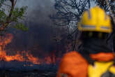 Em menos de 15 dias, sete foram presos por incêndios florestais no DF