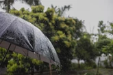Frente fria mantém chuvas no Sudeste e Centro-Oeste; confira o clima