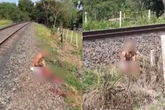 Imagens fortes: bandido perde parte da perna ao tentar fugir em trem