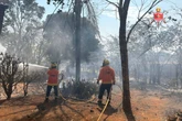 Incêndio florestal volta a atingir o Lago Oeste pelo 2º dia consecutivo