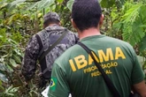 Empresas multadas pelo Ibama acumulam R$ 9 bi em benefícios fiscais