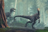 Cientistas descobrem pegadas inéditas de dinossauros na Amazônia