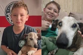 Menino celebra 18 anos de “cãozinho vovô” e emociona web: assista