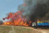 Defesa Civil: estado de SP é atingido por grandes focos de incêndio