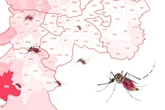 Norte de SP lidera epidemia de dengue, mas pior distrito fica no sul