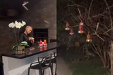 Xuxa chama atenção ao cuidar e alimentar morcegos em casa; veja vídeo