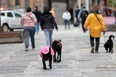 Frio em SP: mínimas ficam próximas aos 11ºC no fim de semana