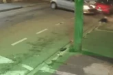 Motorista bêbada acelera em marcha à ré e mata homem atropelado. Veja