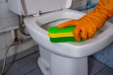 Vaso sanitário encardido? Truque com produto da cozinha resolve tudo