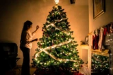 Quase dezembro: tendência sustentável substitui árvore de Natal