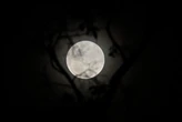Como a Lua cheia pode ajudar os signos a encontrarem um novo amor