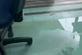 Ala de hospital público fica alagada após forte chuva no DF. Vídeo