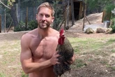 Calvin Harris lamenta morte do seu galo de estimação e culpa vizinhos