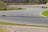 Vídeo: forasteiro invade pista durante F1 e é flagrado por Leclerc