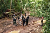 Pará tem a menor área desmatada da década