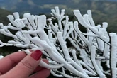 Ciclone, onda polar, temperaturas caindo e neve: veja o clima nesta 5ª