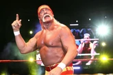 Socorristas tentaram salvar Hulk Hogan por 30 minutos, diz jornal