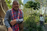 Sozinho, homem plantou 40 milhões de árvores e criou uma floresta