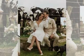 Vacas penetras “invadem” casamento para assistir à cerimônia; vídeo