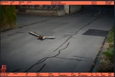 Pato a jato: radar flagra ave voando acima da “velocidade permitida”