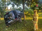 Motorista perde o controle de carro e capota no canteiro da BR-040
