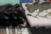 Homem esconde arma em colchão após atirar e ameaçar vizinhos no DF