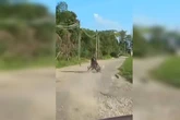 Vídeo alucinante: dupla tenta fugir da PRF mas cai e “beija o asfalto”