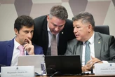 CPMI aprova plano com votação do relatório final até 28 de março