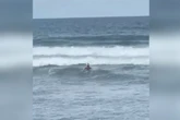 Surfista ajuda a salvar banhistas de afogamento no litoral de SP. Veja