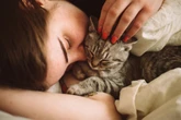 Como conquistar a confiança do seu gato, segundo uma veterinária