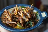 Comerias? Estudo aponta barreiras ao uso de insetos como alimento