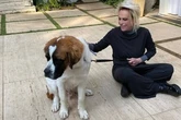Ana Maria Braga lamenta morte do filho de 4 patas: “Nosso crianção”