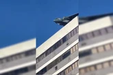 Vídeo: avião de guerra voando baixo chama atenção em Taguatinga