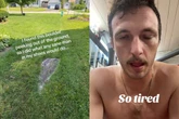 Homem tenta tirar pedra do jardim e faz descoberta surpreendente