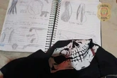 Adolescente que planejava atentado em escola é detido pela PCDF