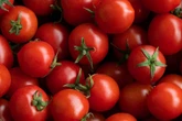 Erro comum ao armazenar o tomate pode alterar sabor e textura da fruta