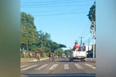 Vídeo. Em caminhonete, homem tenta laçar cavalo em rua de Campo Grande