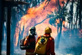 Flona pode levar 2 décadas para recuperar vegetação queimada em 2024